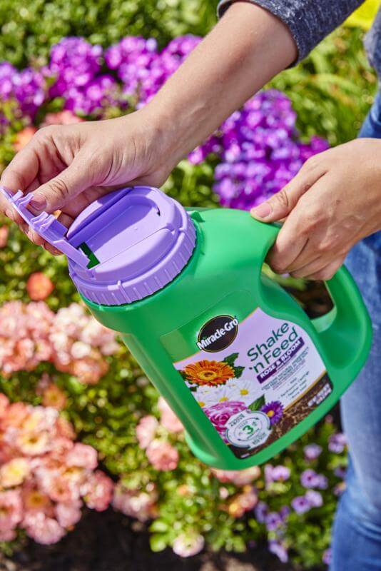 Miracle-Gro® Shake 'n Feed® Rose & Bloom Plant Food - Image 4