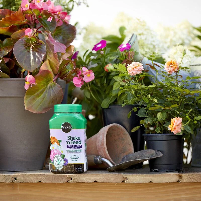 Miracle-Gro® Shake 'n Feed® Rose & Bloom Plant Food - Image 8