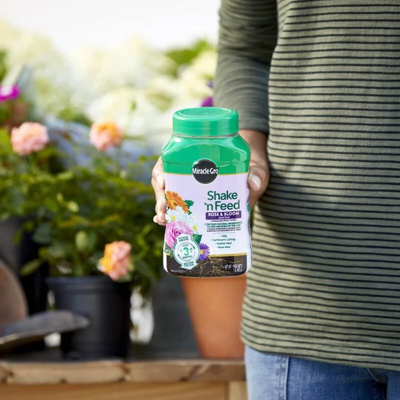 Miracle-Gro® Shake 'n Feed® Rose & Bloom Plant Food - Image 9
