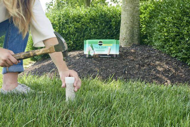 Miracle-Gro® Tree & Shrub Plant Food Spikes - Image 2