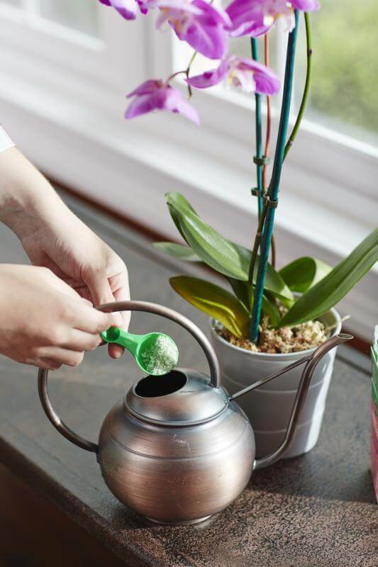 Miracle-Gro® Water Soluble Orchid Food - Image 3