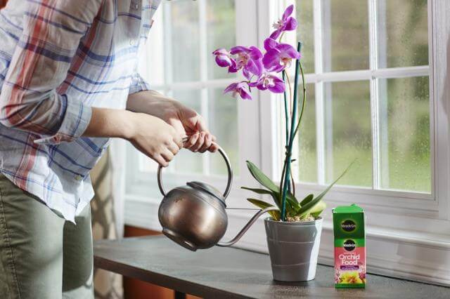 Miracle-Gro® Water Soluble Orchid Food - Image 4