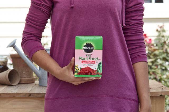 Miracle-Gro® Water Soluble Rose Plant Food - Image 2