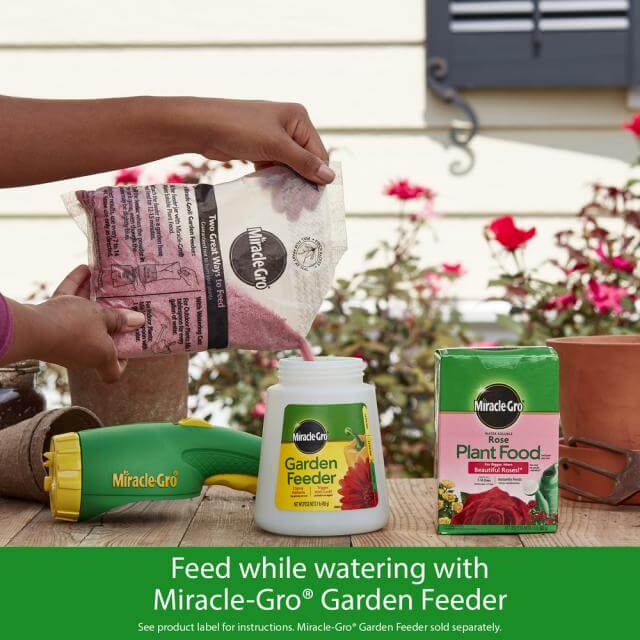 Miracle-Gro® Water Soluble Rose Plant Food - Image 4