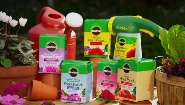 Miracle-Gro® Water Soluble Rose Plant Food - Image 5