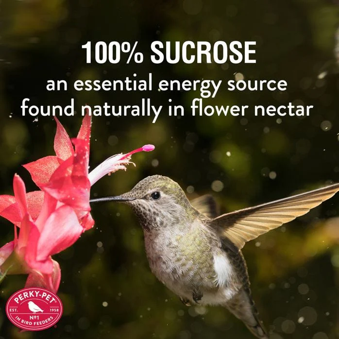 More Birds® Clear Liquid Hummingbird Nectar Concentrate - Image 2