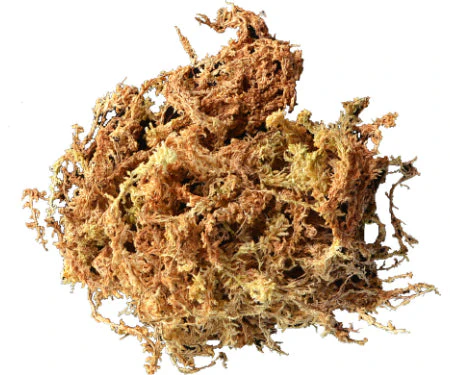 Mosser Lee Long-Fibered Sphagnum Moss - Image 4