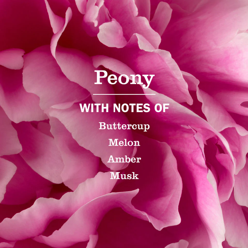 Mrs. Meyer's Peony Liquid Hand Soap - Image 4