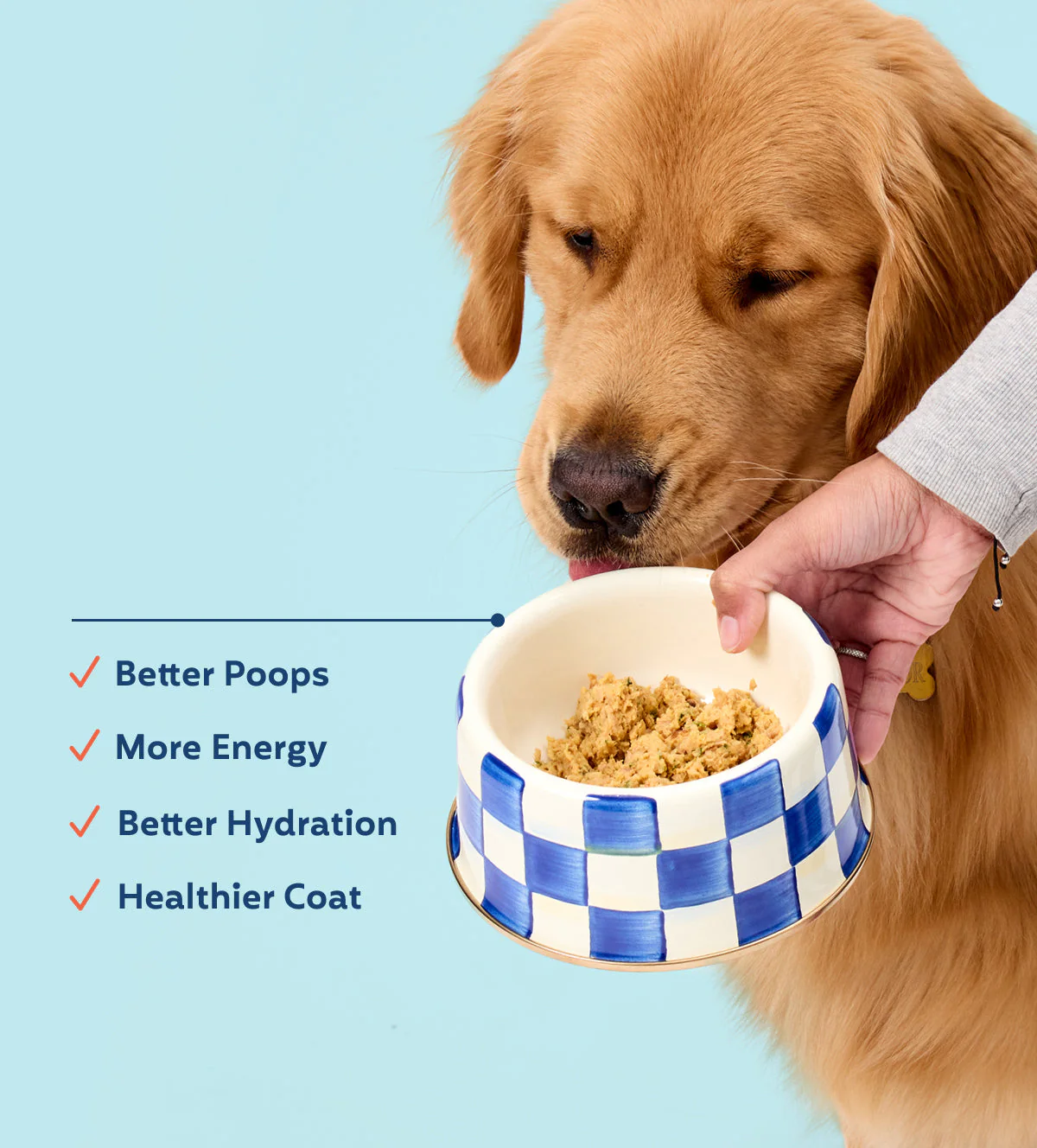 My Perfect Pet Turkey Reduced Carbohydrates Tino's Frozen Dog Food - Image 5