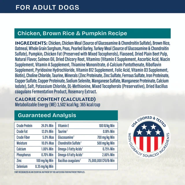 Natural Balance Chicken, Brown Rice & Pumpkin Recipe Dry Dog Food - Image 2