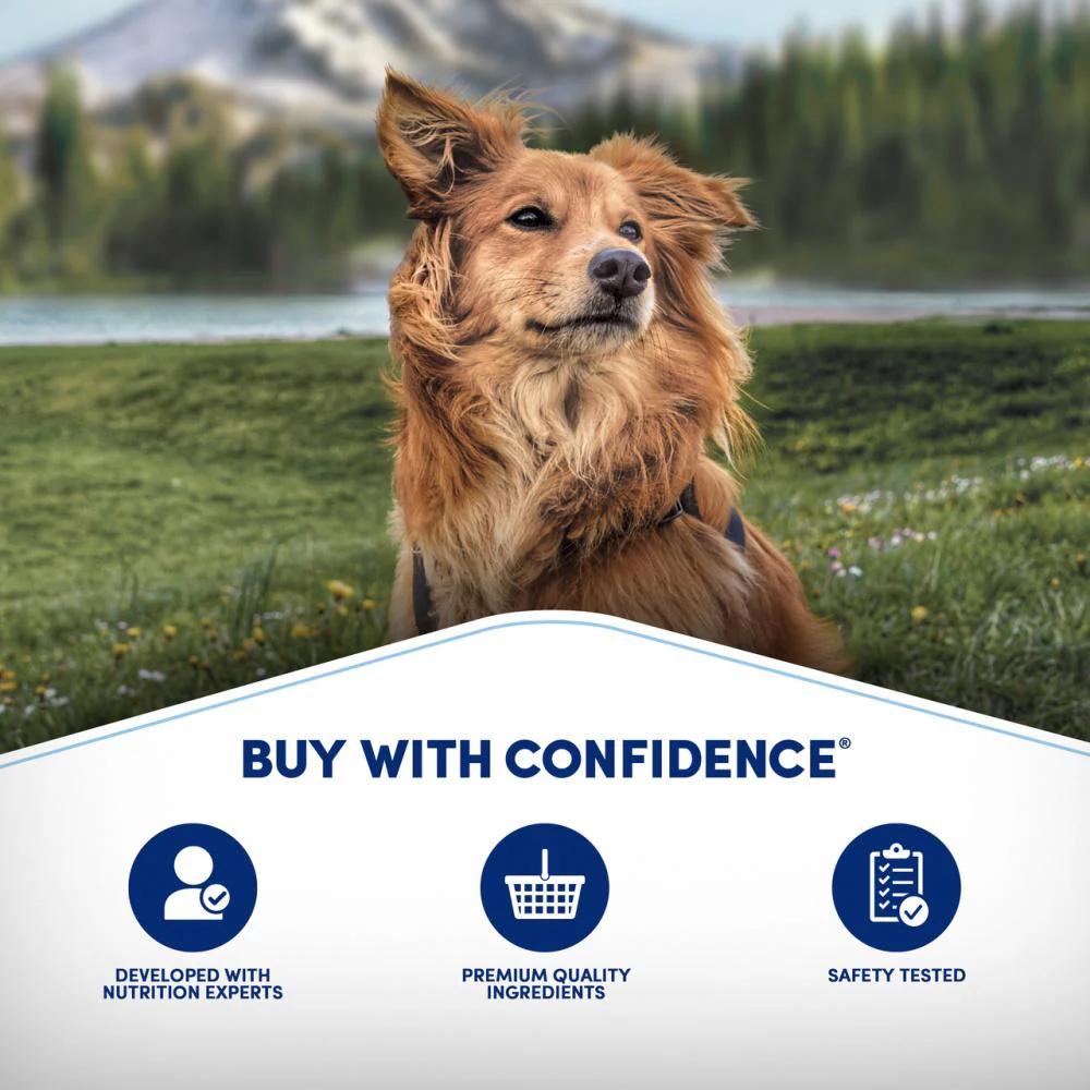 Natural Balance L.I.D Grain Free Mini Rewards Salmon Recipe Dog Training Treats - Image 3