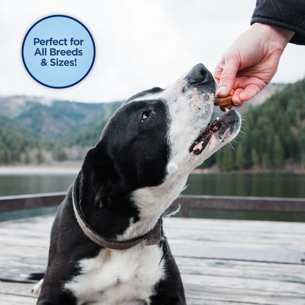 Natural Balance L.I.D Grain Free Mini Rewards Salmon Recipe Dog Training Treats - Image 5