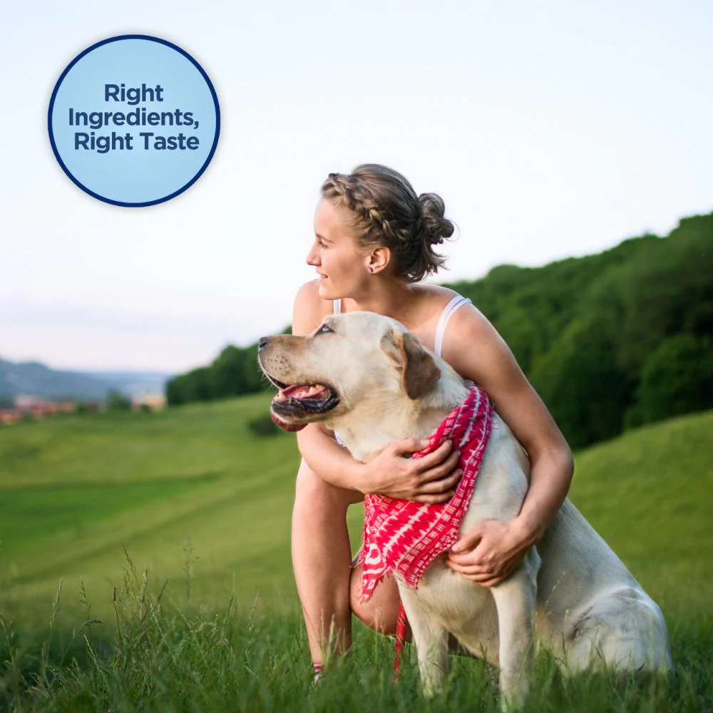 Natural Balance L.I.T. Limited Ingredient Treats Jumpin' Stix Venison & Sweet Potato Formula Dog Treats - Image 5