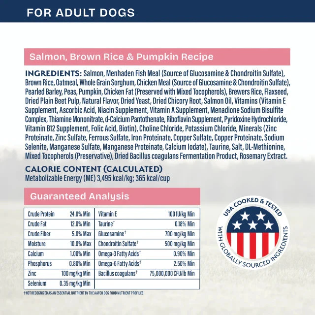 Natural Balance Salmon, Brown Rice & Pumpkin Recipe Dry Dog Food - Image 2