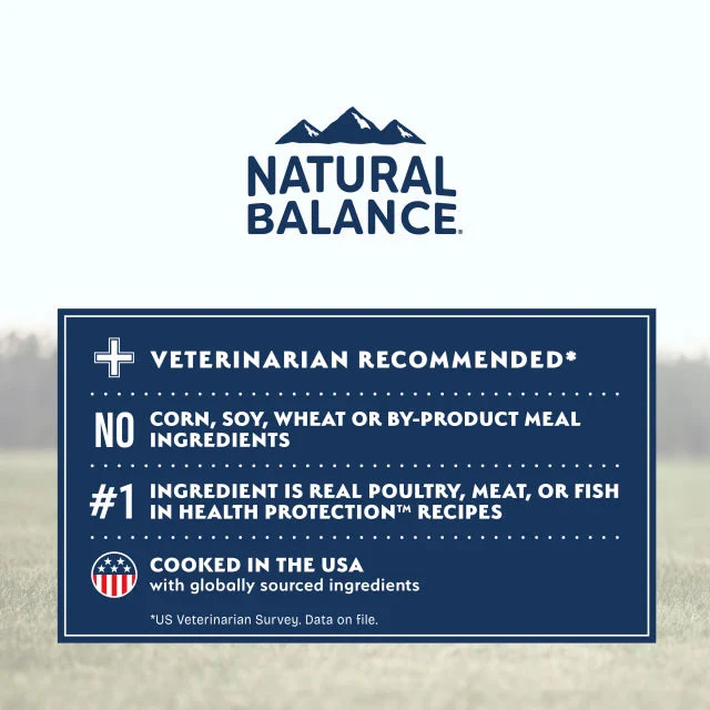 Natural Balance Salmon, Brown Rice & Pumpkin Recipe Dry Dog Food - Image 3