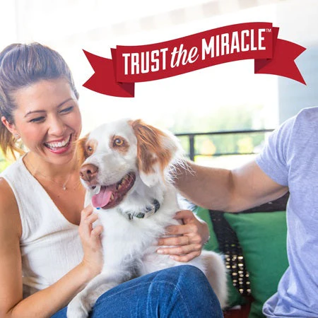 Nature's Miracle Urine Destroyer Plus Spray for Dogs - Image 9