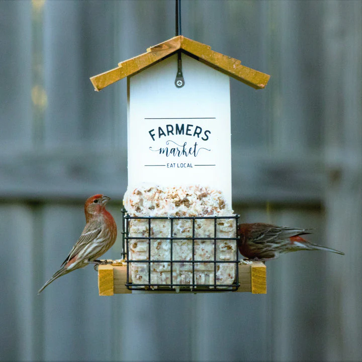 Nature's Way Bird Products Farmhouse Hopper Feeder - Image 9