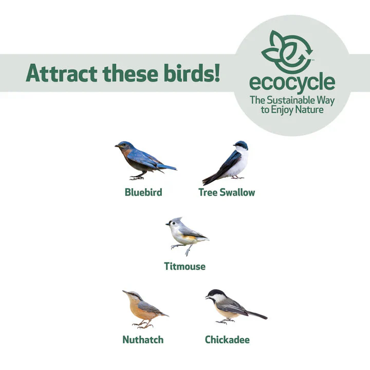 Nature's Way EcoCycle™ Bluebird Bungalow Recycled Plastic Bird House - Image 4