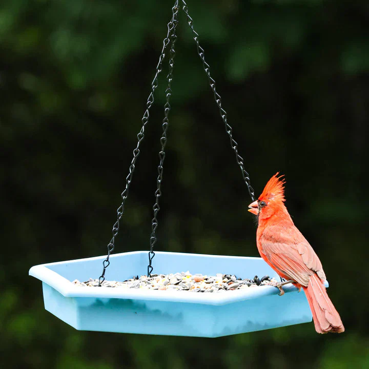 Nature's Way EcoCycle™ Combo Café 2-in-1 Recycled Plastic Bird Feeder and Bird Bath - Image 10