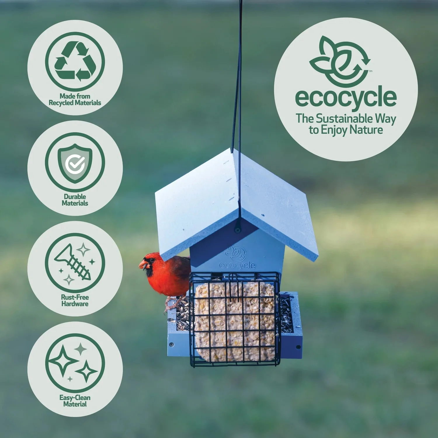 Nature's Way EcoCycle™ Hopper Hangout Recycled Plastic Hopper Bird Feeder w/ Suet Cages - Image 2