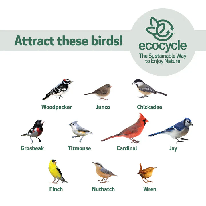 Nature's Way EcoCycle™ Hopper Hangout Recycled Plastic Hopper Bird Feeder w/ Suet Cages - Image 5