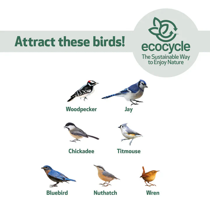 Nature's Way Suet Station Recycled Plastic Tail-prop Bird Feeder - Image 4