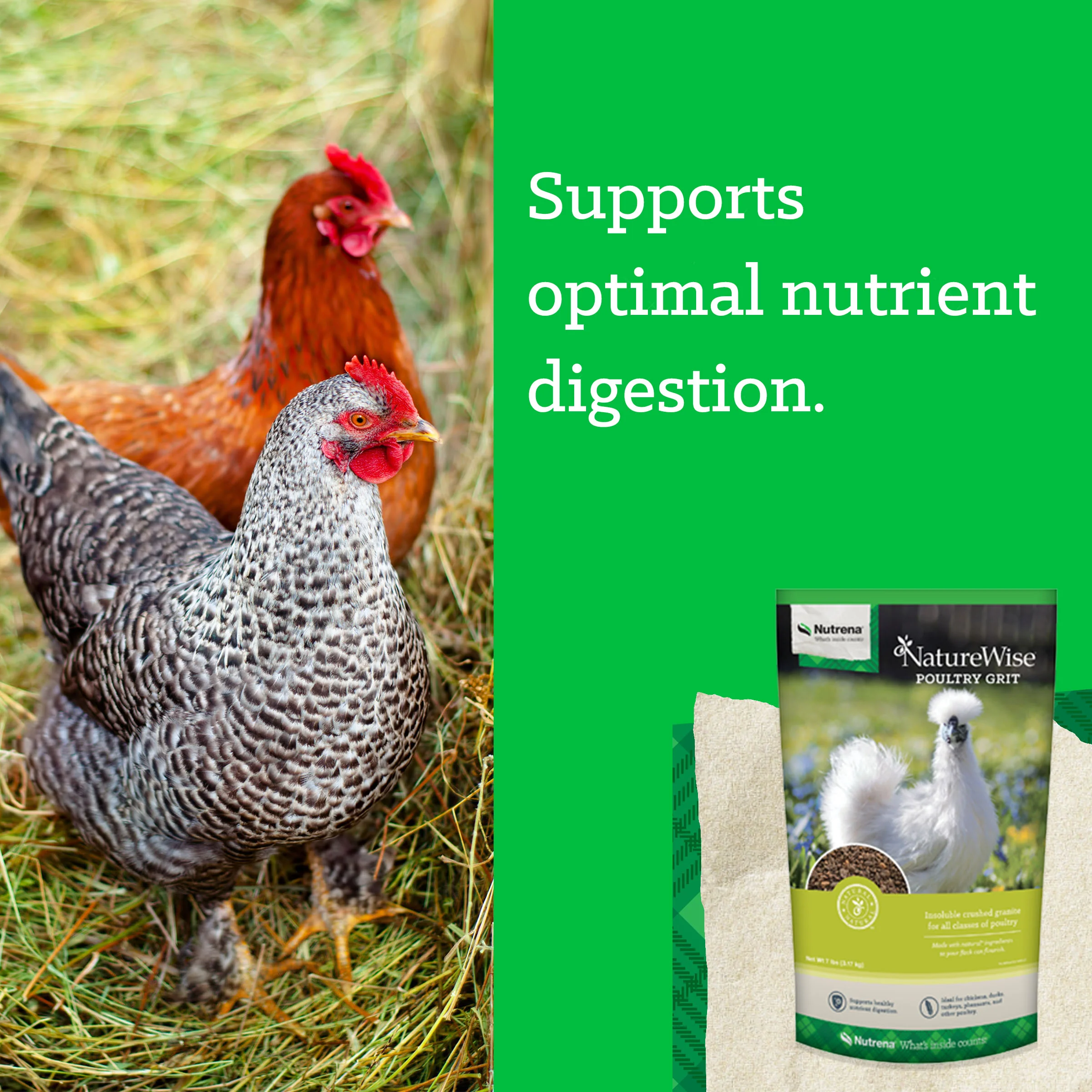 Nutrena® NatureWise® Grit - Image 7