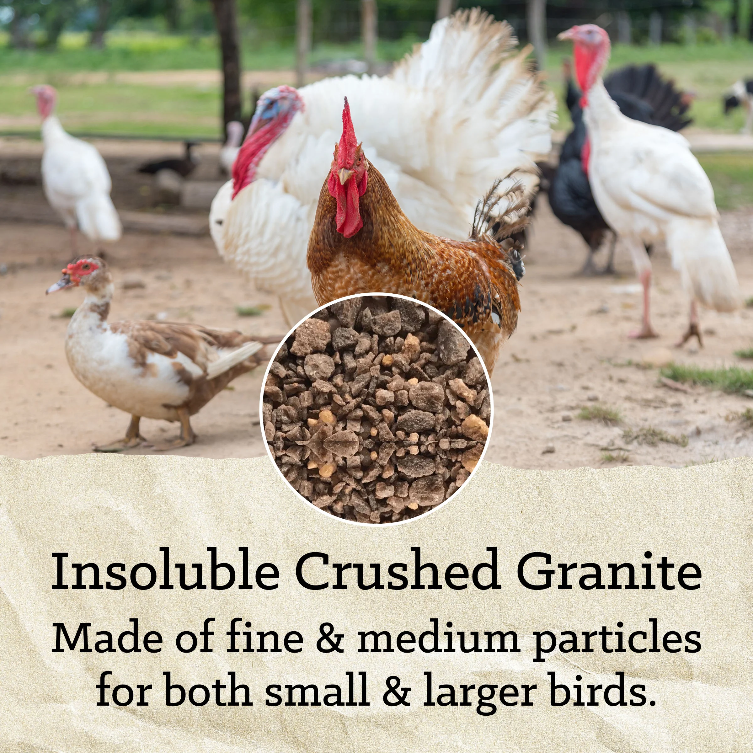 Nutrena® NatureWise® Grit - Image 9