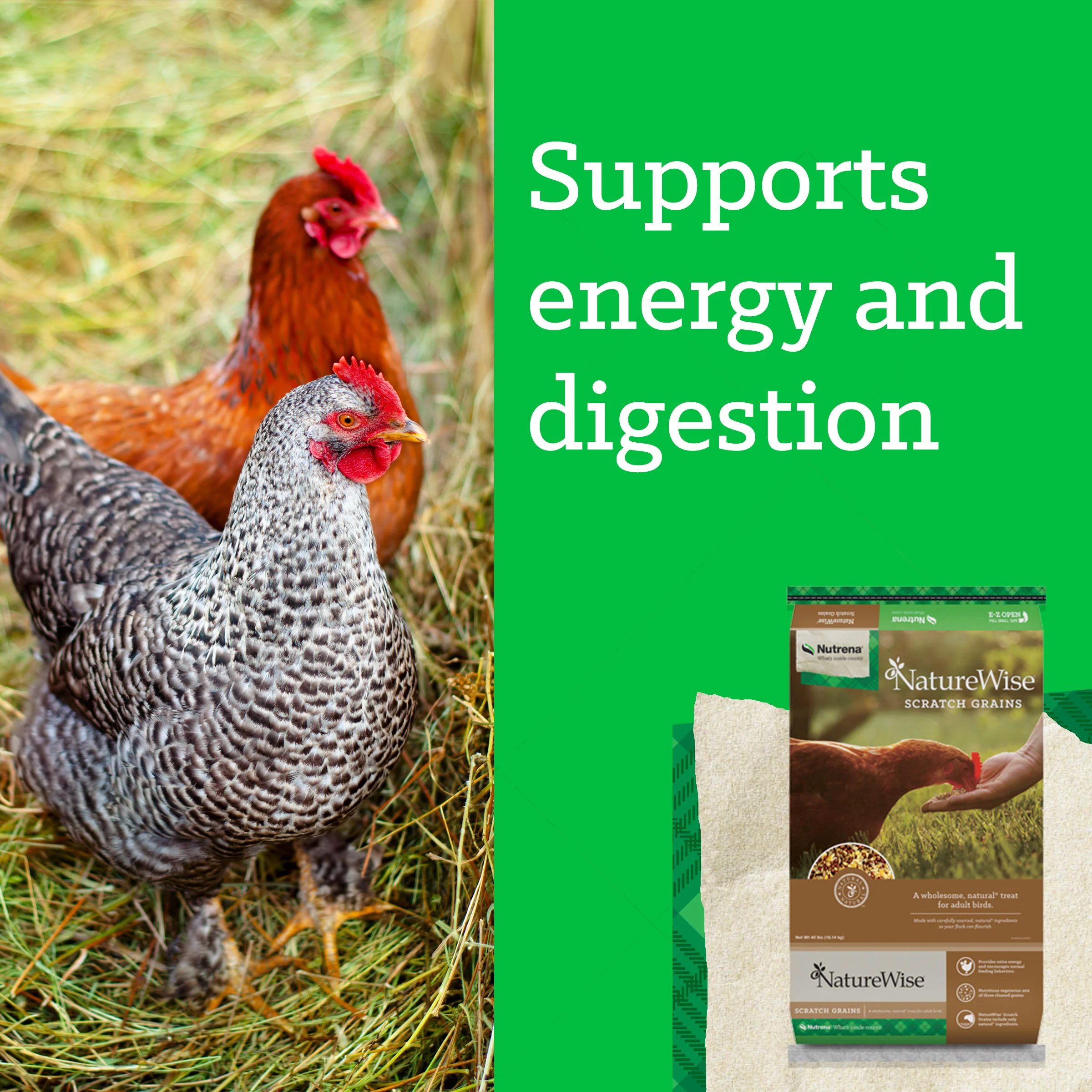 Nutrena® NatureWise® Scratch Grains - Image 11
