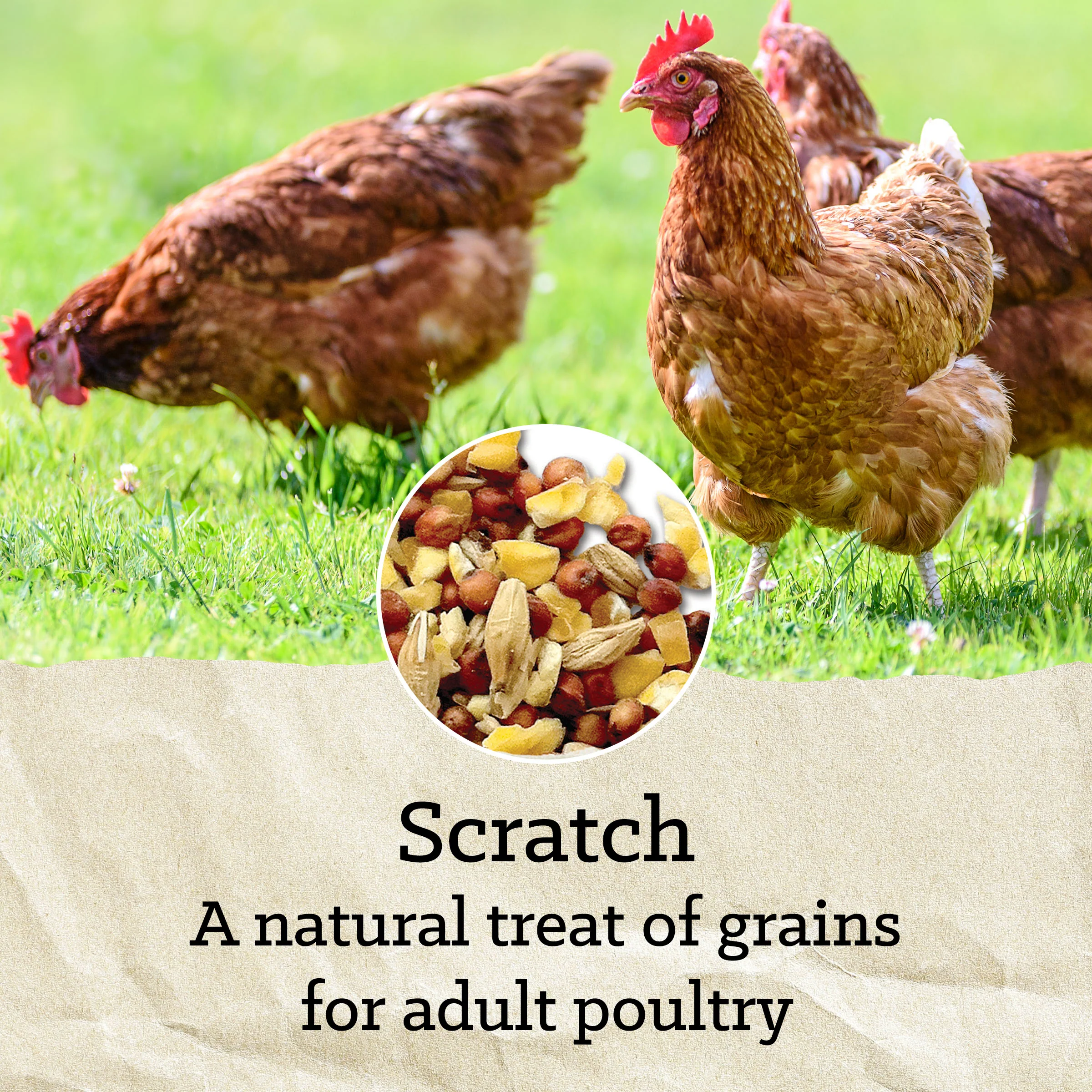 Nutrena® NatureWise® Scratch Grains - Image 13