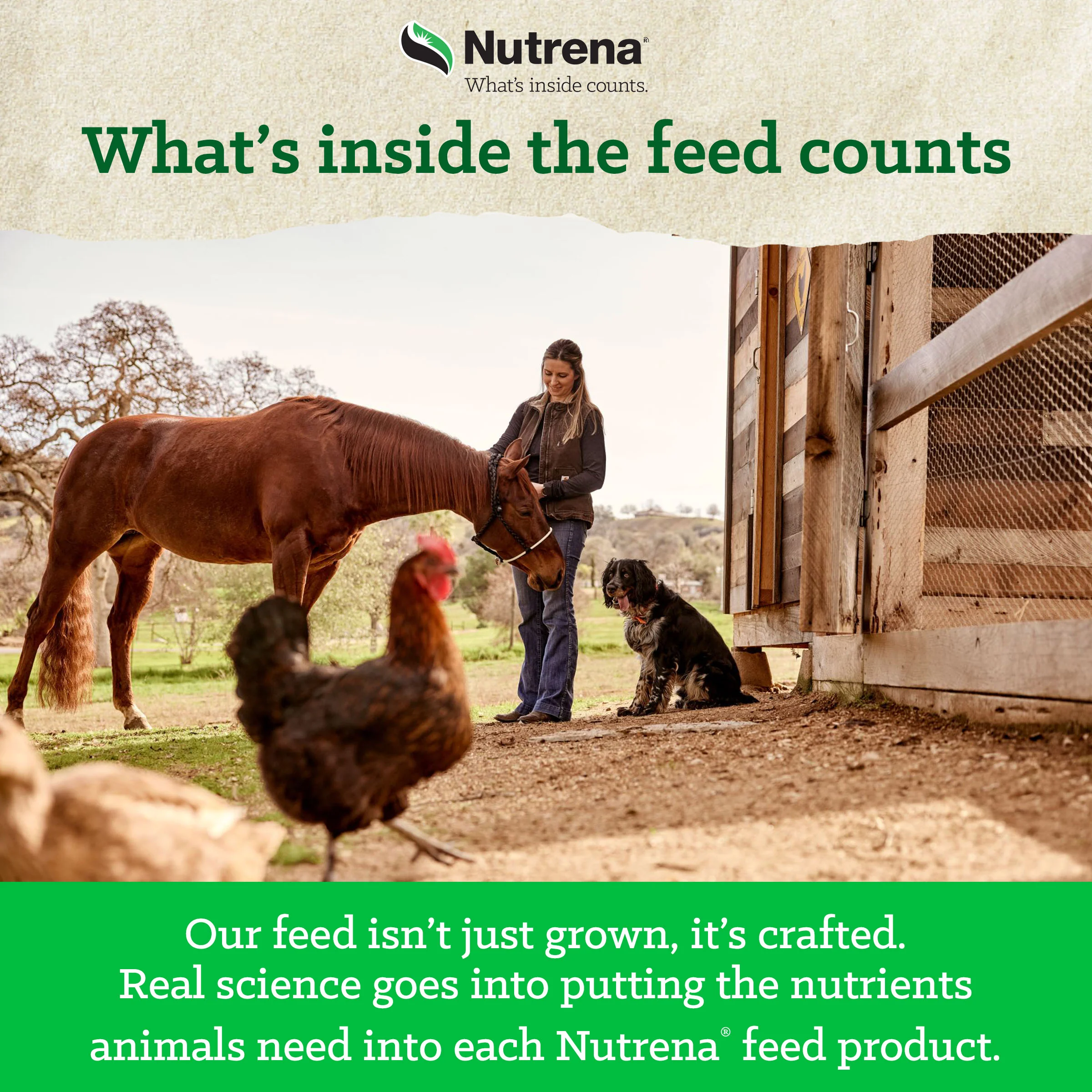Nutrena® NatureWise® Scratch Grains - Image 9