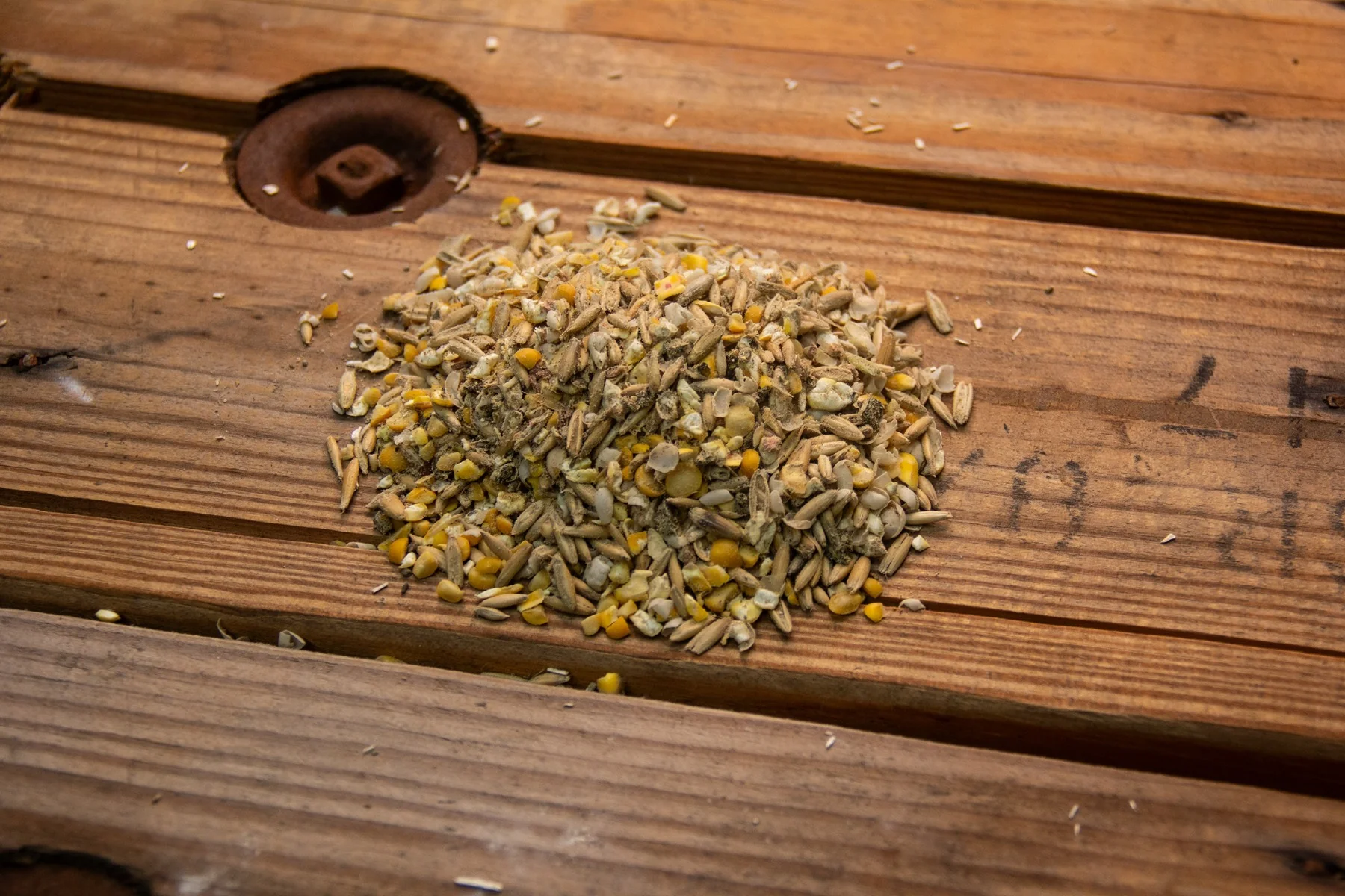 New Country Organics Organic Wheat-Free Layer Feed - Image 2