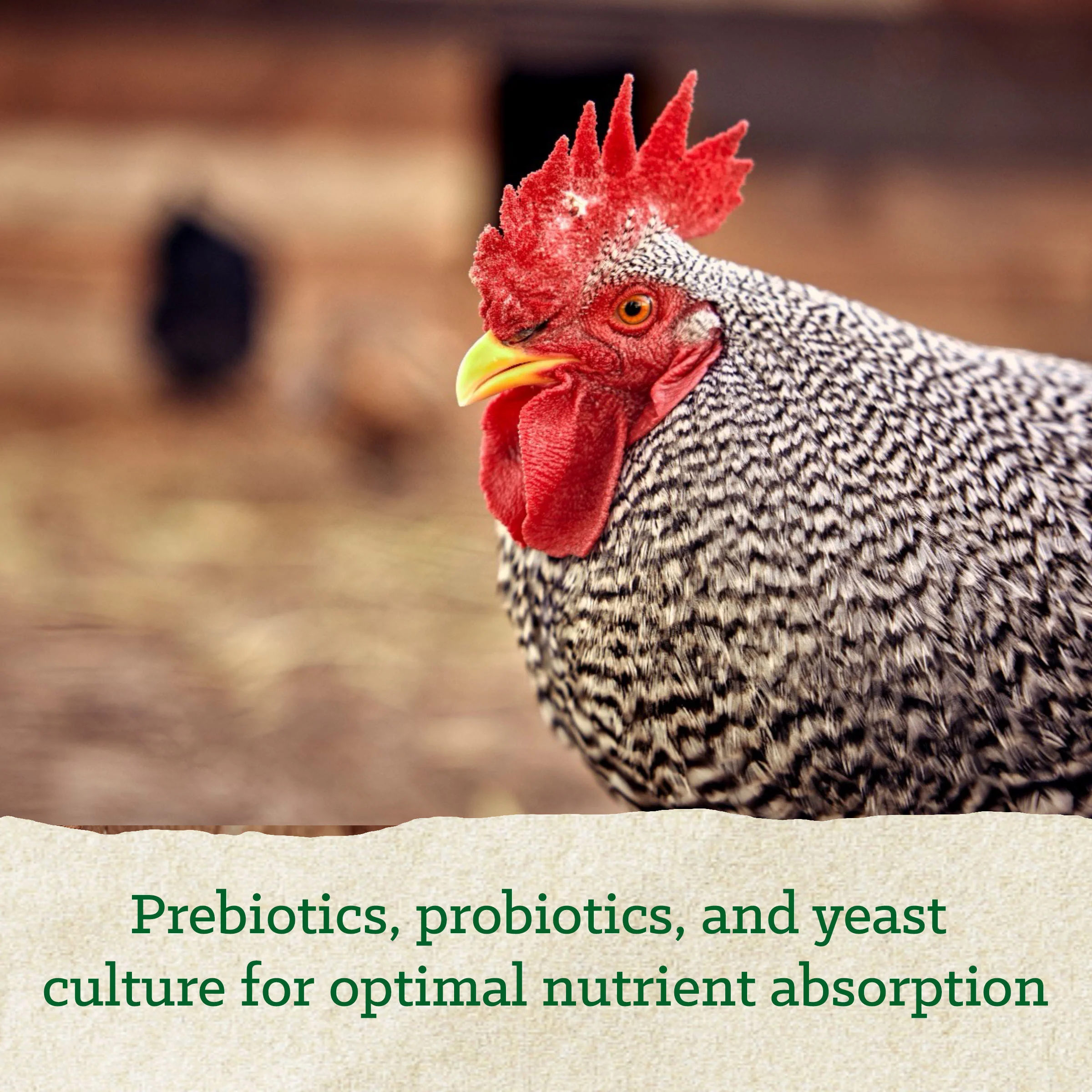 Nutrena® NatureWise® Hearty Hen® 18% Soy-Free Protein Pellet - Image 4