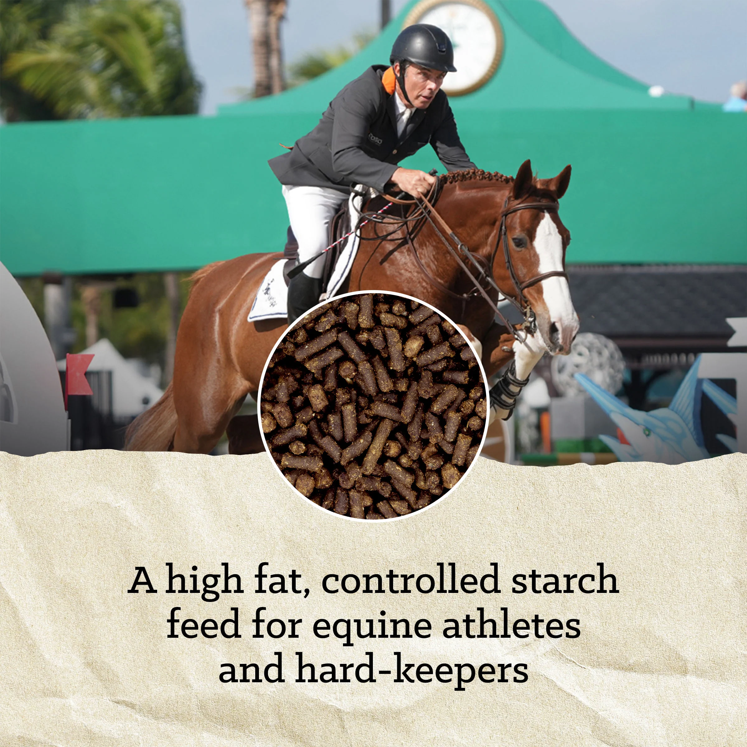 Nutrena® ProForce® Fuel Horse Feed - Image 5