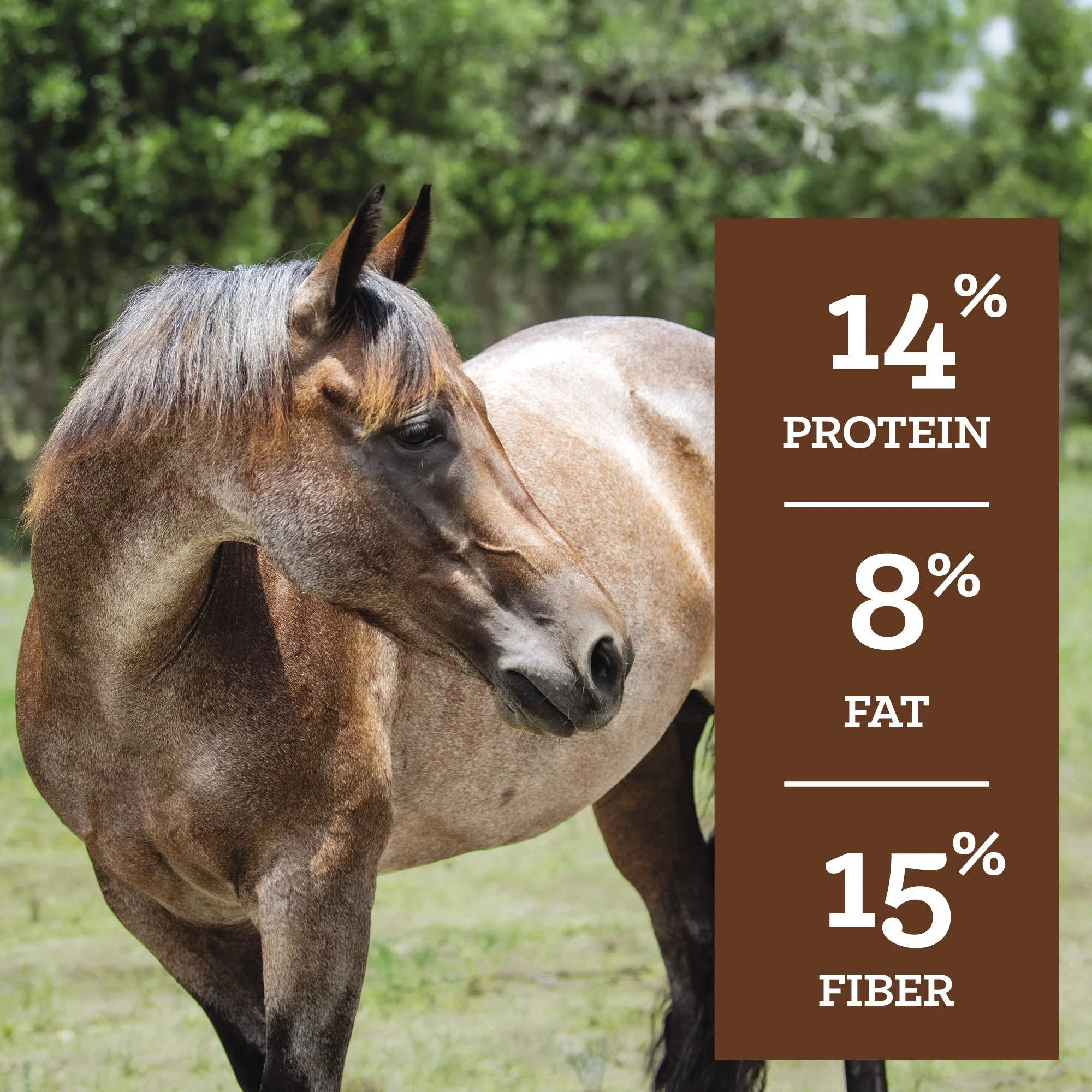 Nutrena® SafeChoice® All Life Stages - Image 6