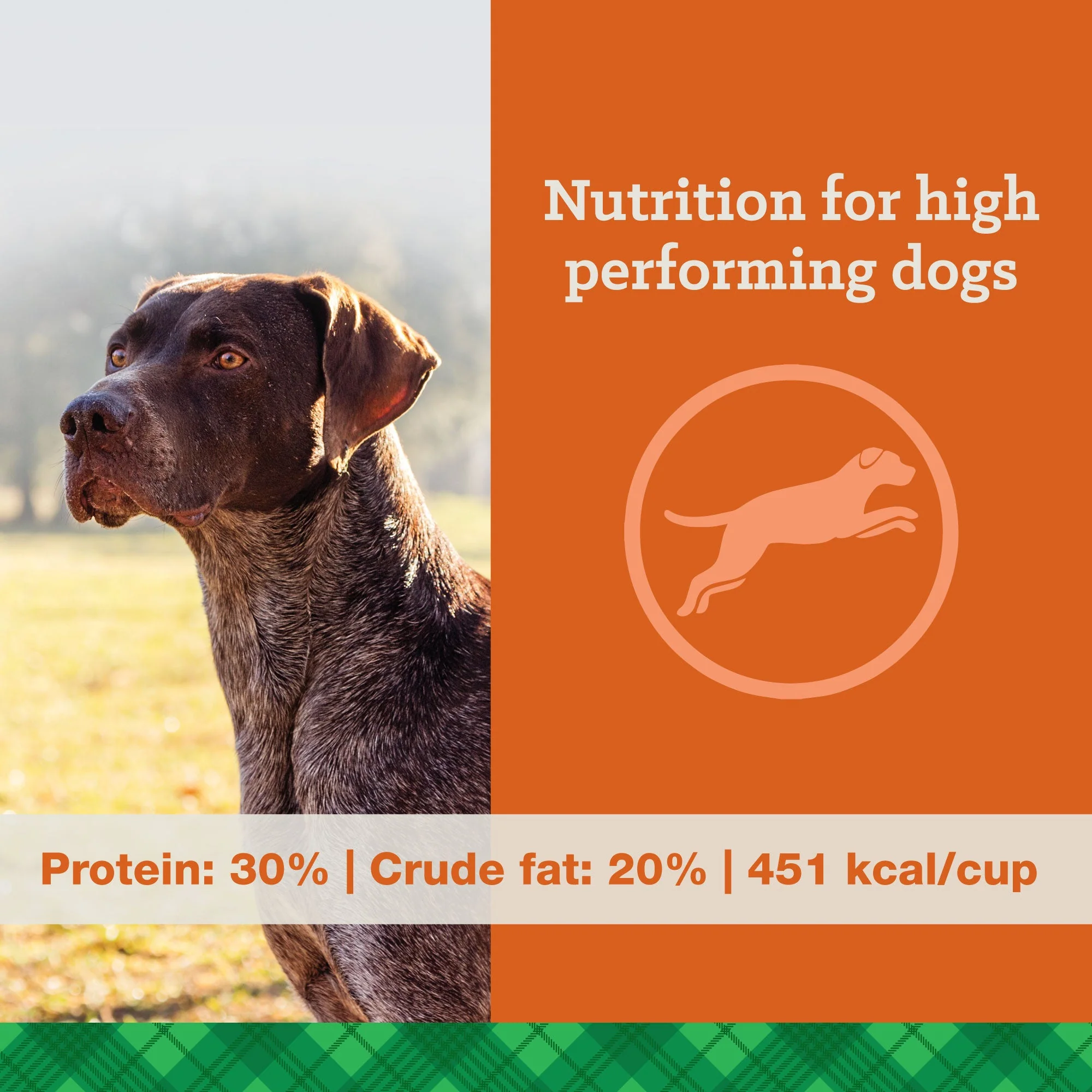 Nutrena® True Professional 30/20 Dog Food - Image 2