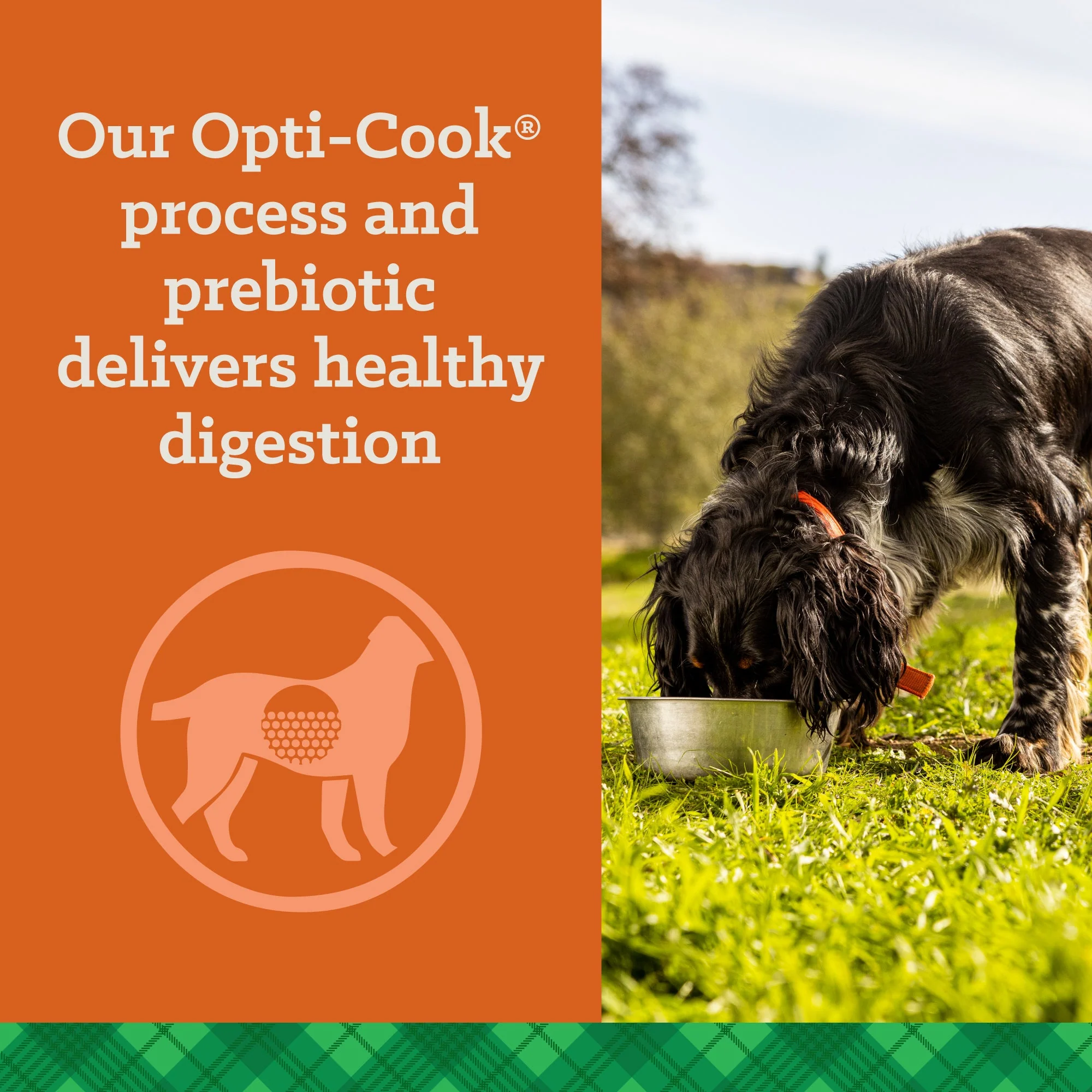 Nutrena® True Professional 30/20 Dog Food - Image 4