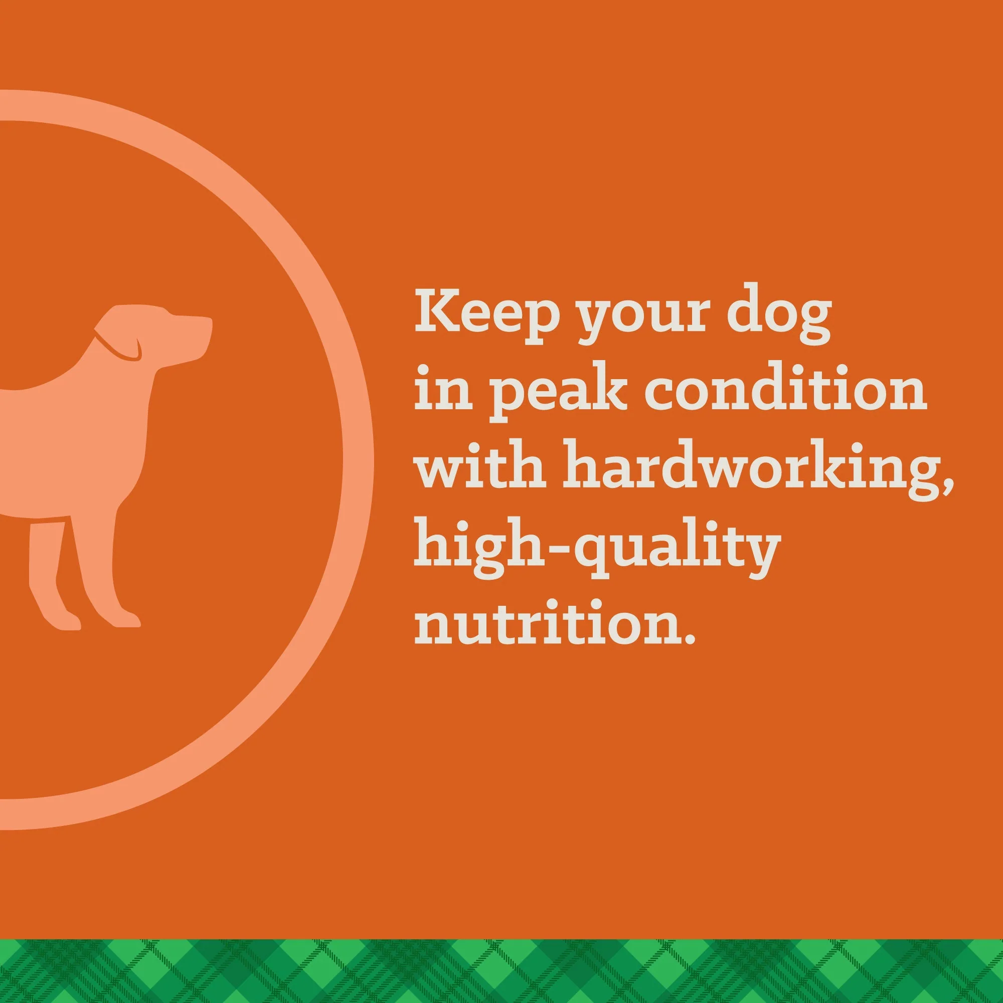 Nutrena® True Professional 30/20 Dog Food - Image 7