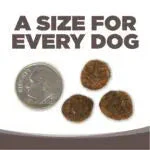 NutriSource® High Plains Select Healthy Grain Free Dog Food - Image 6