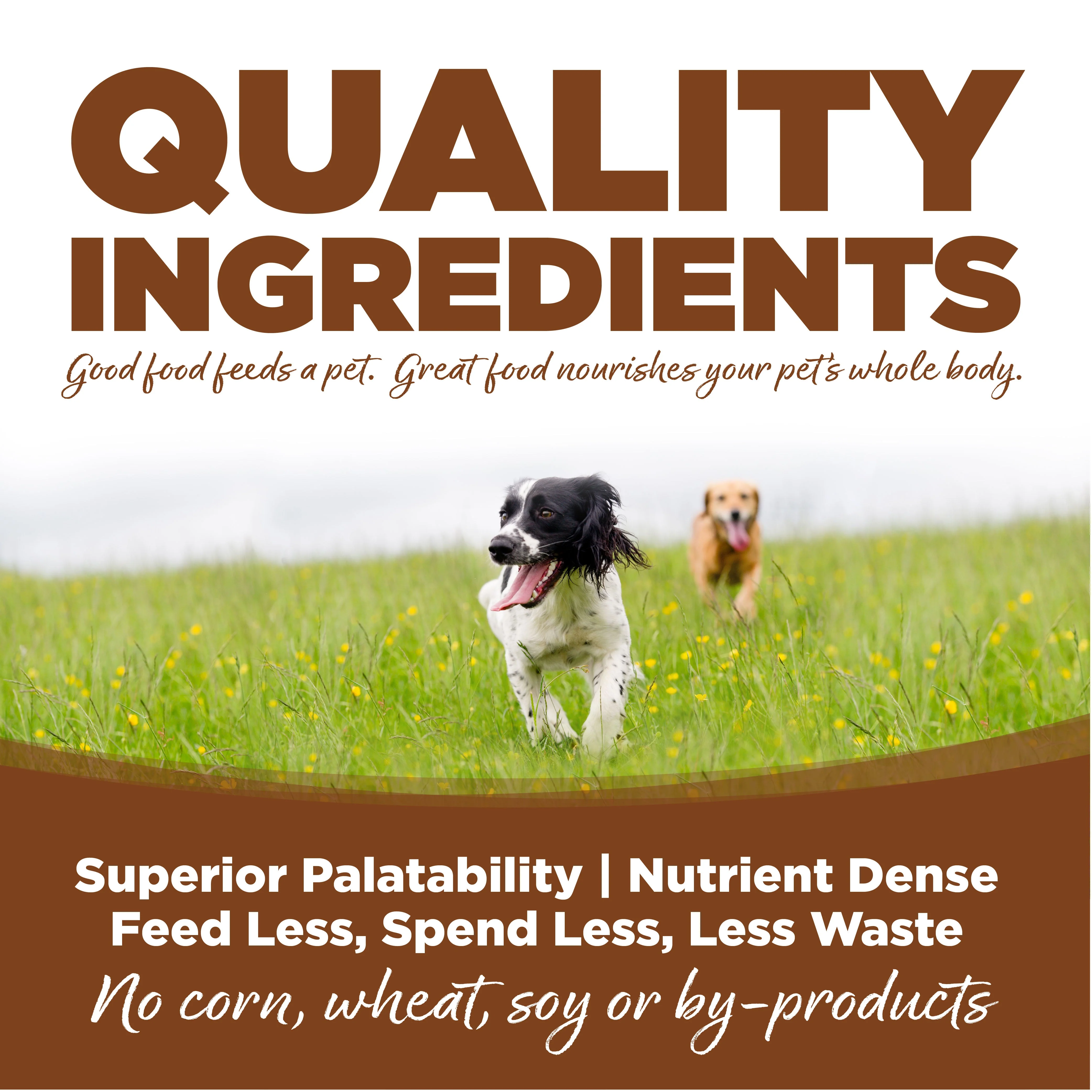 NutriSource® Large Breed Lamb Meal & Rice Recipe Dog Food - Image 2