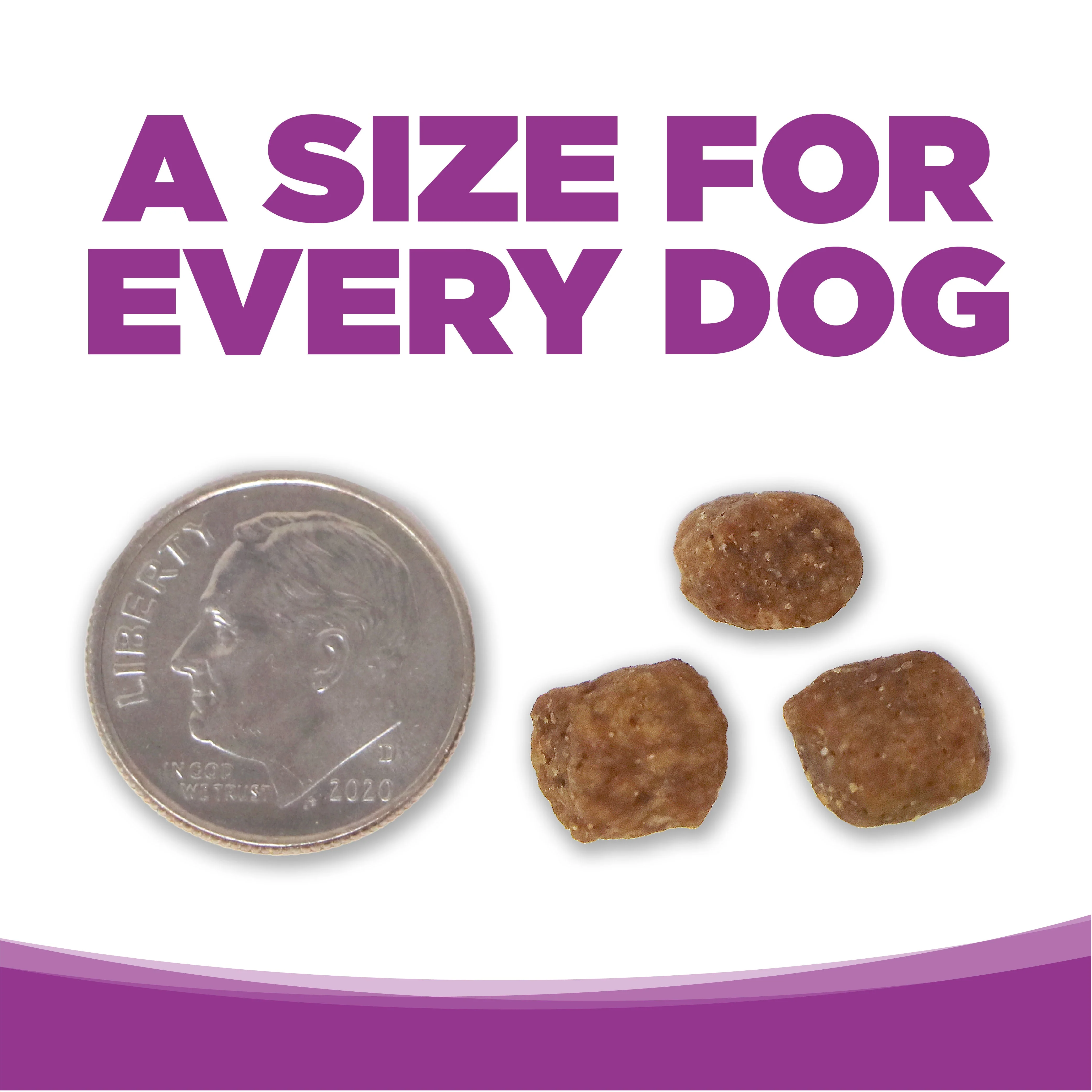 NutriSource® Large Breed Puppy Recipe Dry Dog Food - Image 6