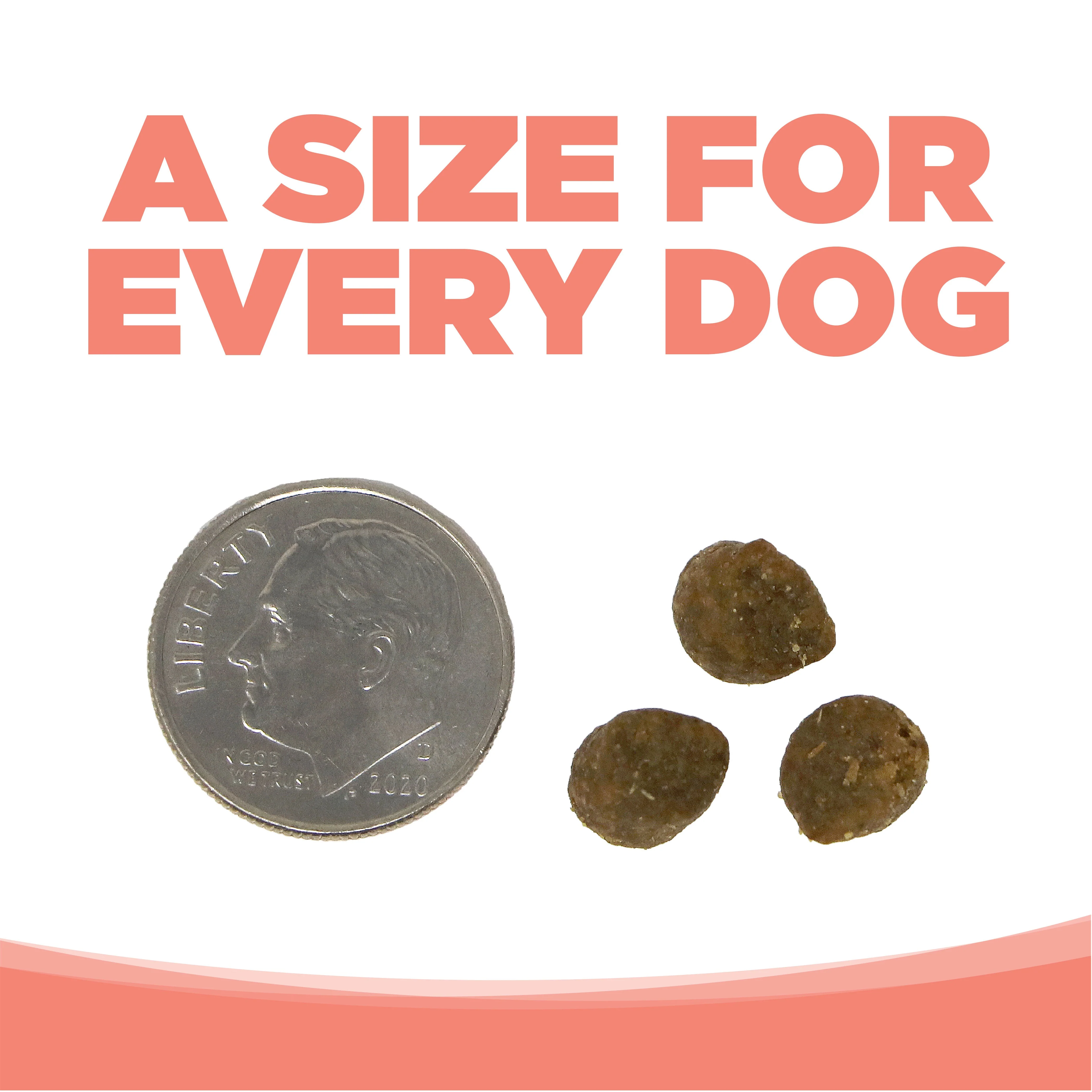 NutriSource® Grain Free Small Bites Seafood Select Recipe Dog Food - Image 6