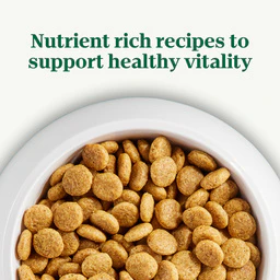 Nutro Natural Choice Adult Large Breed Dry Dog Food, Chicken and Brown Rice Recipe - Image 6