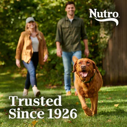 Nutro Natural Choice Senior Pasture-Fed Lamb & Rice Dry Dog Food - Image 5