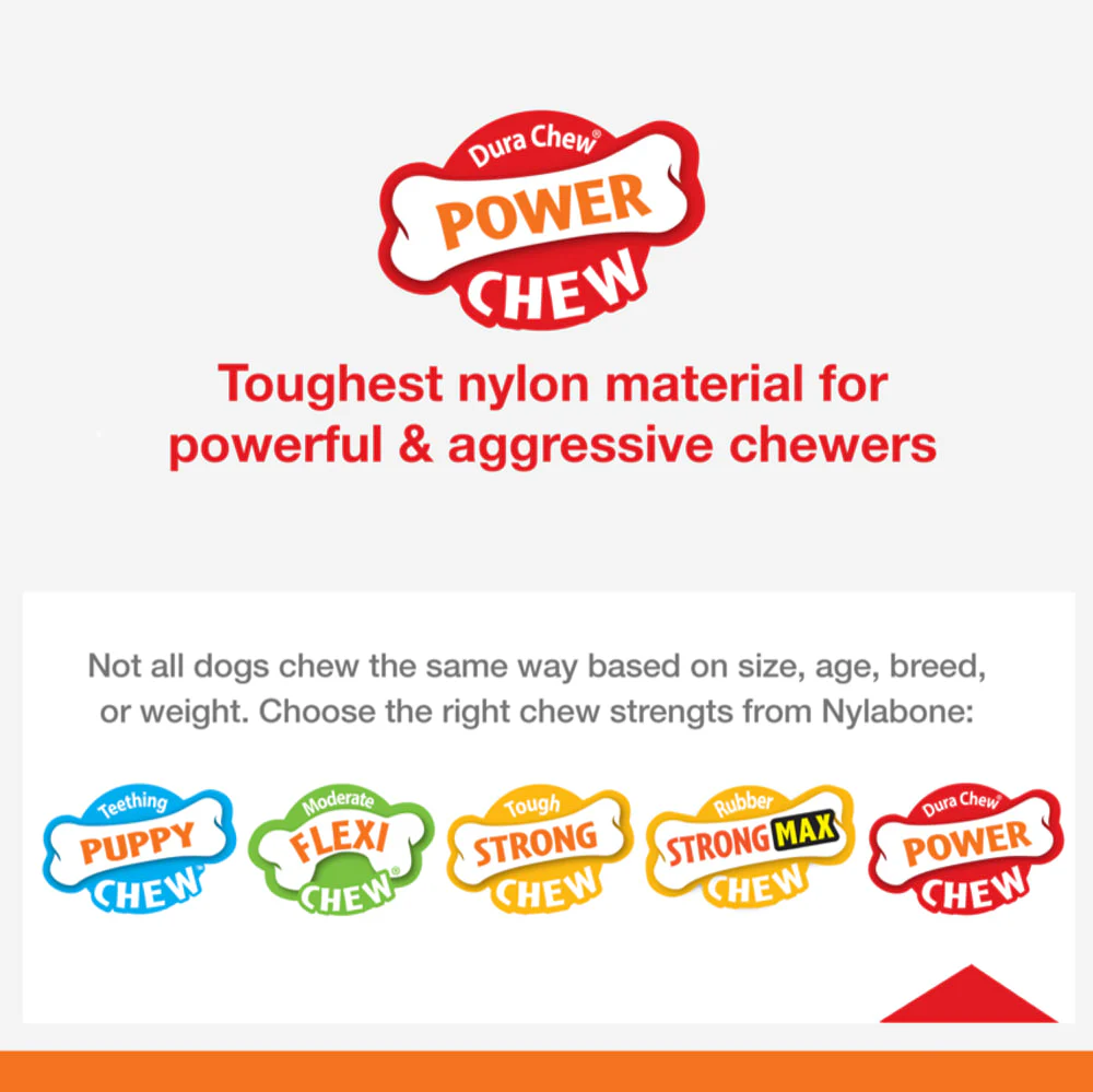 Nylabone Power Chew Gator Tail Alternative Chew Toy for Dogs - Image 4