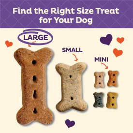 Old Mother Hubbard Crunchy Classic Natural BacNCheez Biscuits Dog Treats - Image 5