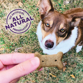 Old Mother Hubbard Crunchy Classic Natural Original Assortment Small Biscuits Dog Treats - Image 4