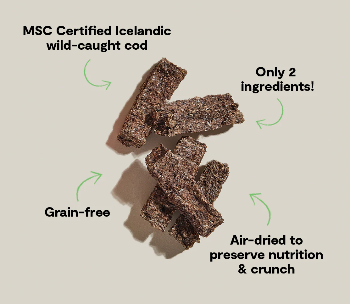 Open Farm Icelandic Air-Dried Cod & Blueberry Dog Treat Bars - Image 4