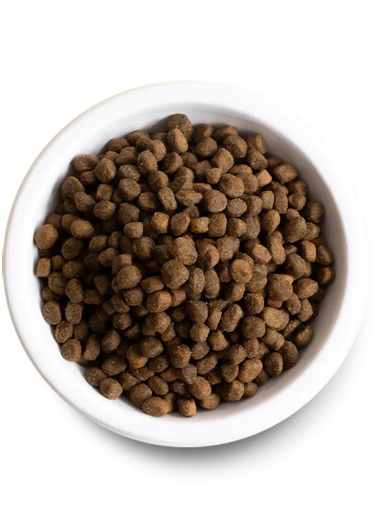 Open Farm Pasture-Raised Lamb & Ancient Grains Dry Dog Food - Image 2