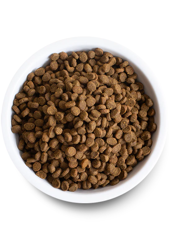 Open Farm Pasture-Raised Lamb Dry Cat Food - Image 2